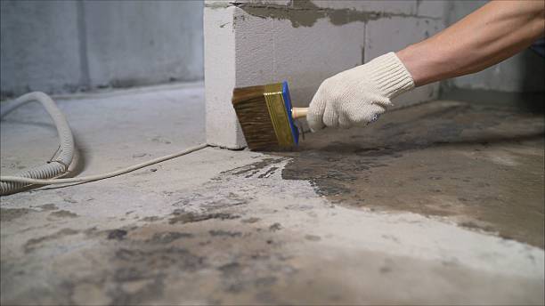 24/7 Emergency Basement Waterproofing experts in Coosada, AL